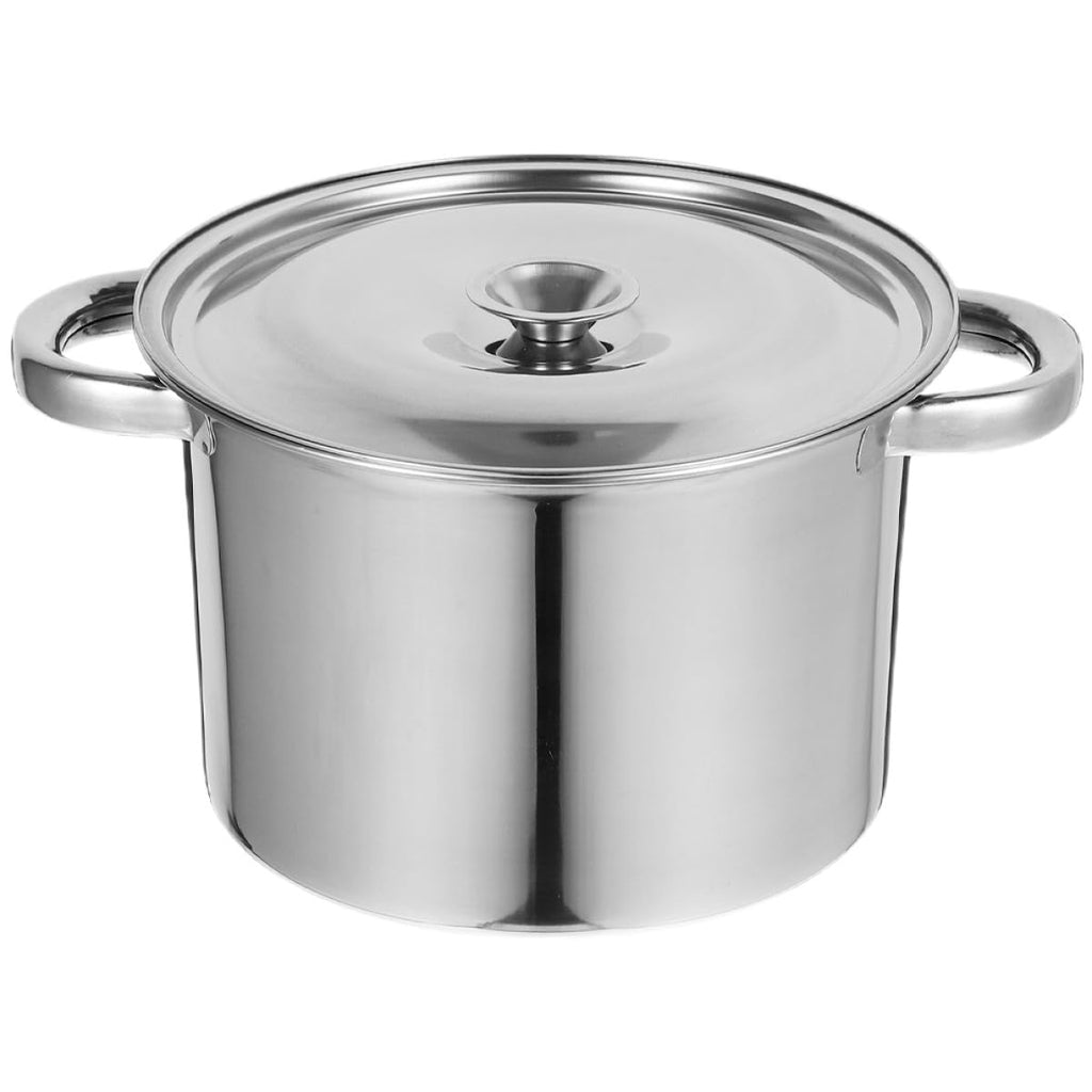 Stainless Steel Double Handle Stock Pot with Lid X6828