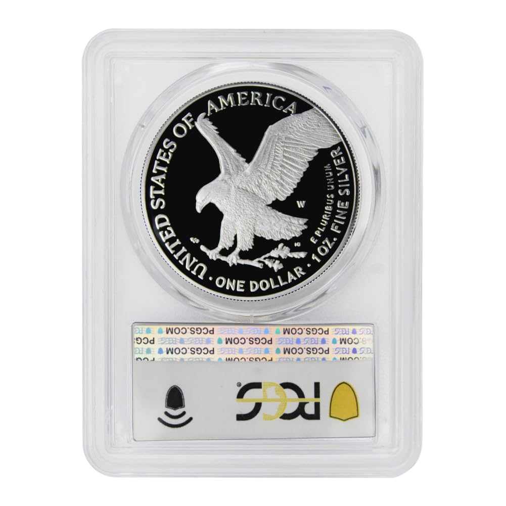 1 oz American Silver Eagle Coin N516486