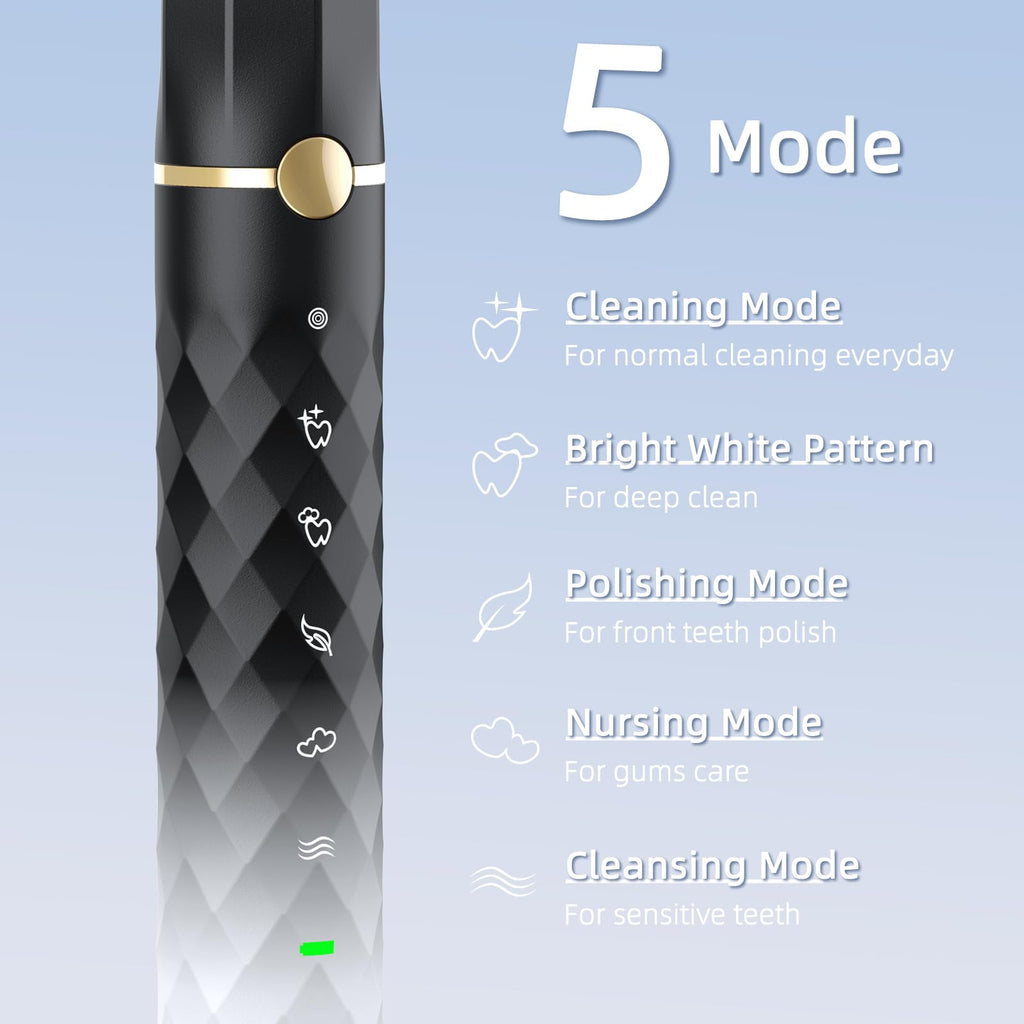 Black White Sonic Electric Toothbrush Set with 10 Brush Heads and Travel Case R93107