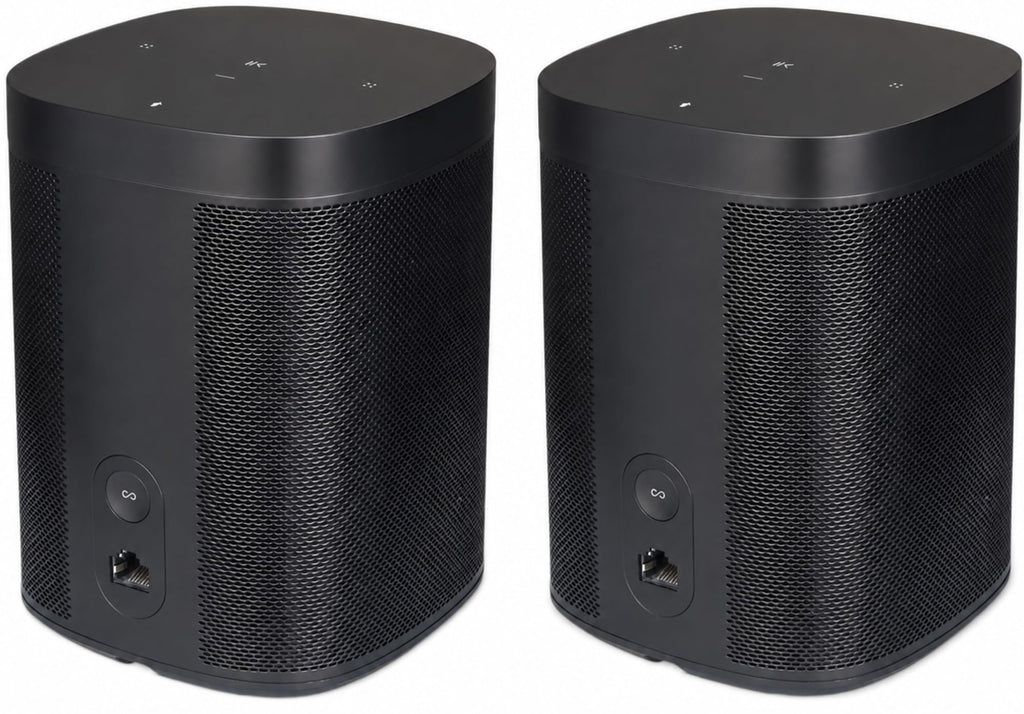 Black Voice Controlled Smart Speaker 2-Pack P5149