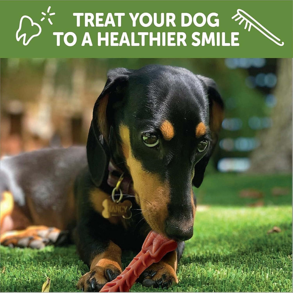 Natural Grain-Free Dental Dog Treats Variety Pack H5297