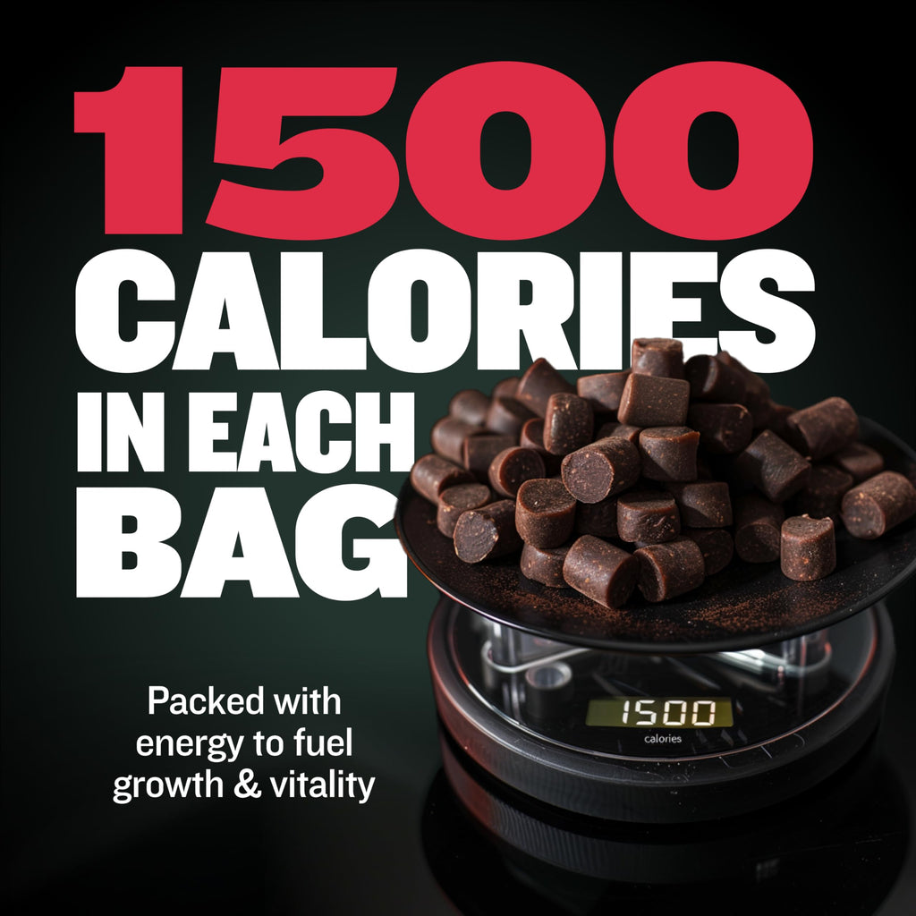 Dog Weight Gainer Chews & Muscle Builder Tablets & Liquid Muscle Builder Supplement I44147