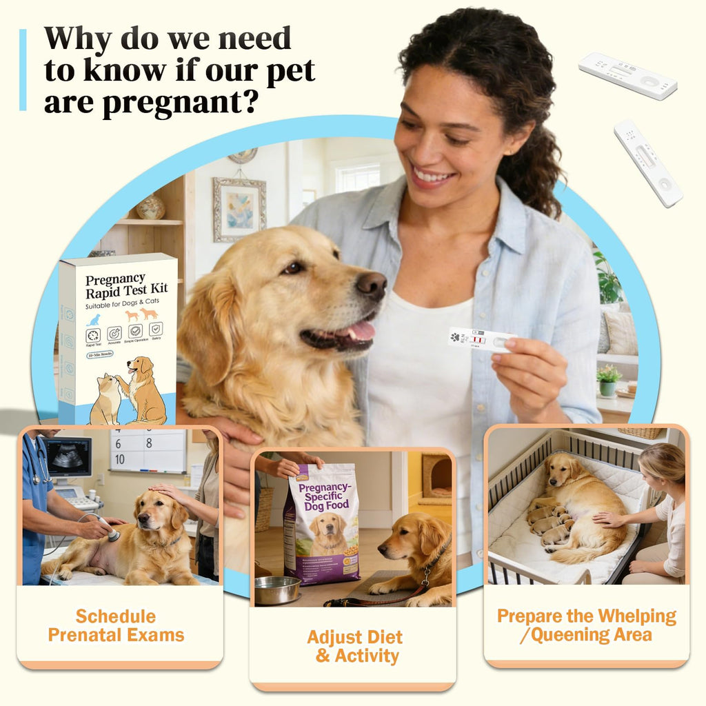 Dog & Cat Pregnancy Blood Test Kit 1 Pack L78396