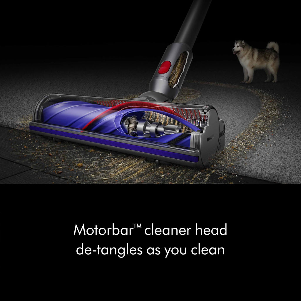 Cordless Vacuum, 115AW, 2 Power Modes C93323