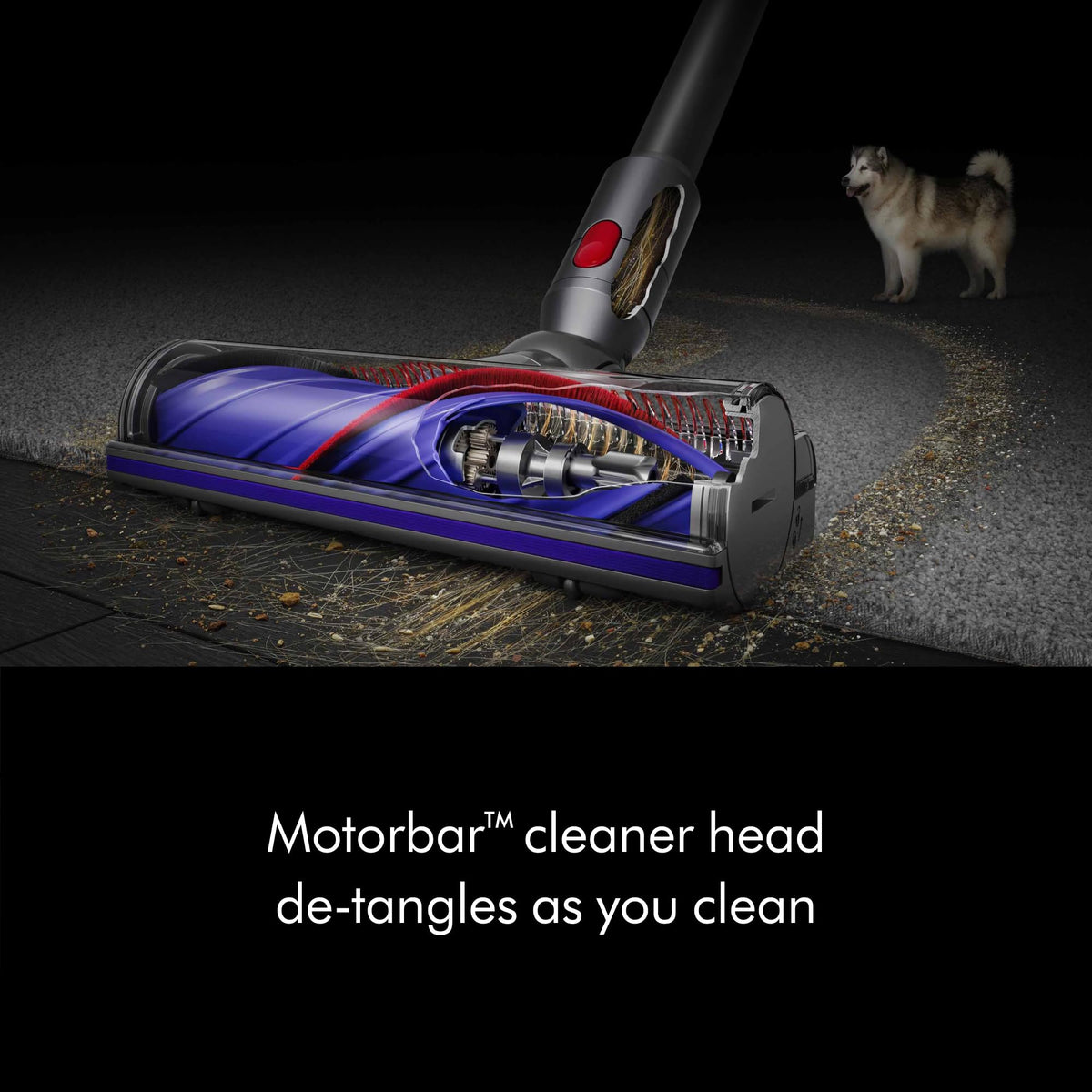 Cordless Vacuum, 115AW, 2 Power Modes C93323