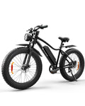 1000W Peak Motor 70 Miles Fat Tire Electric Bike F676