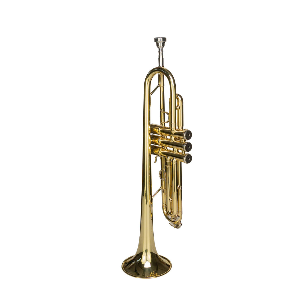 Bb Trumpet with Mouthpiece and Case G57930