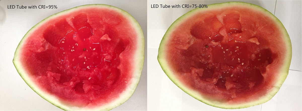 2ft Warm 3000K Dimmable T8 LED Tube U616508