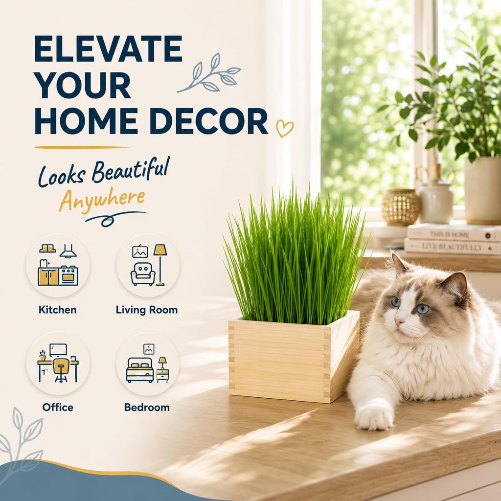 Cat Grass Growing Kit with Wooden Planter V823