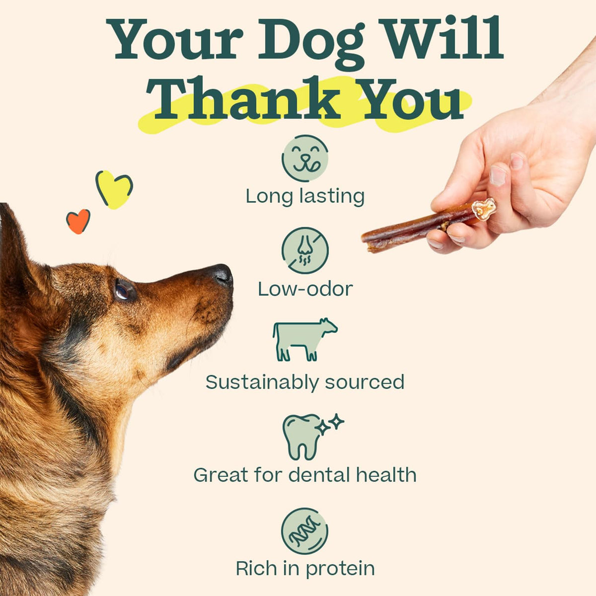 6 Inch 5 Count Dog Chew Treats O46184