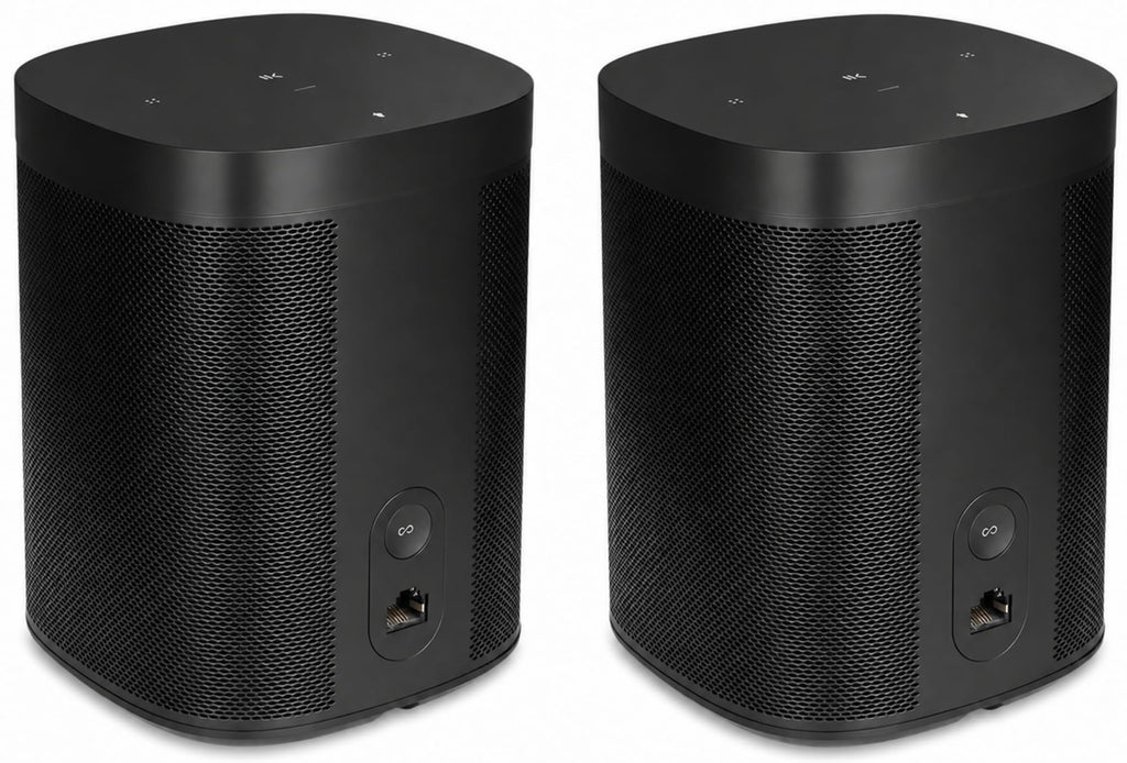 Black Voice Controlled Smart Speaker 2-Pack P5149