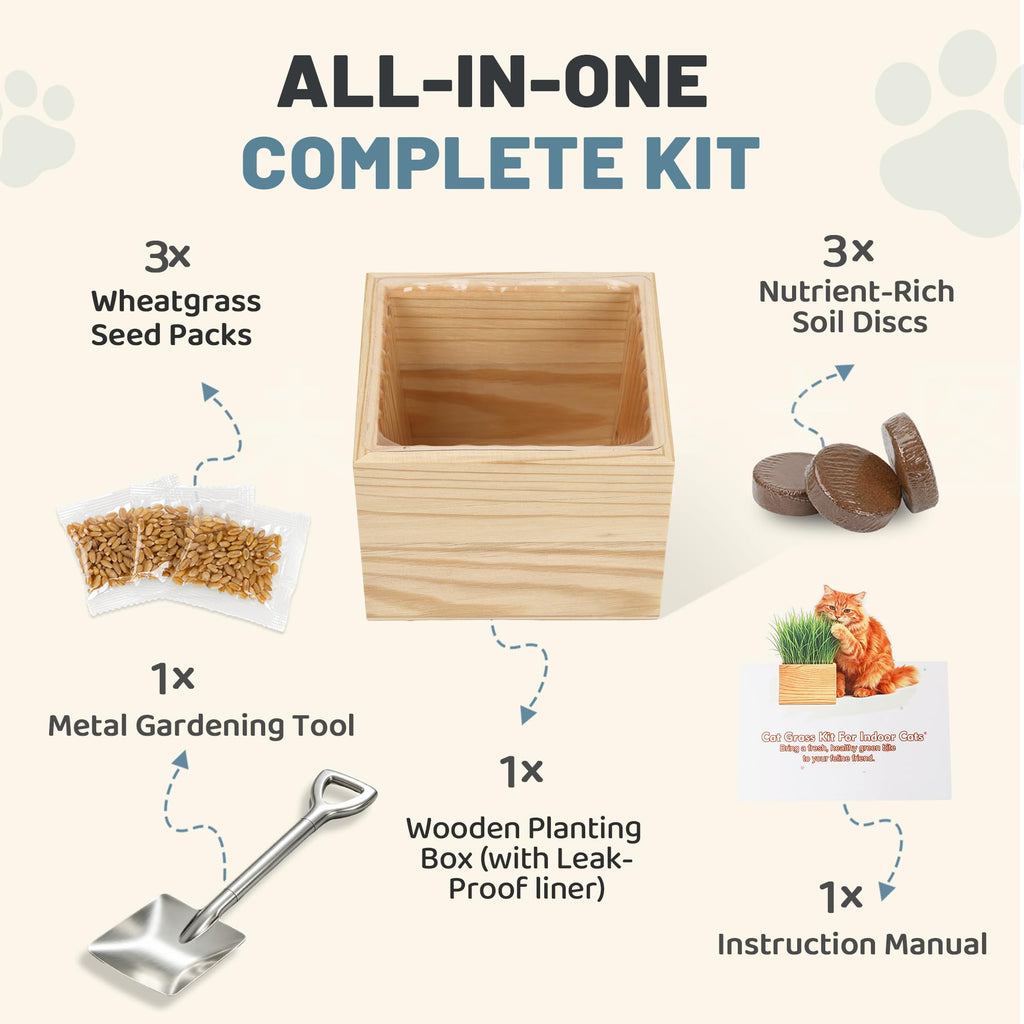 Cat Grass Growing Kit with Wooden Planter V823