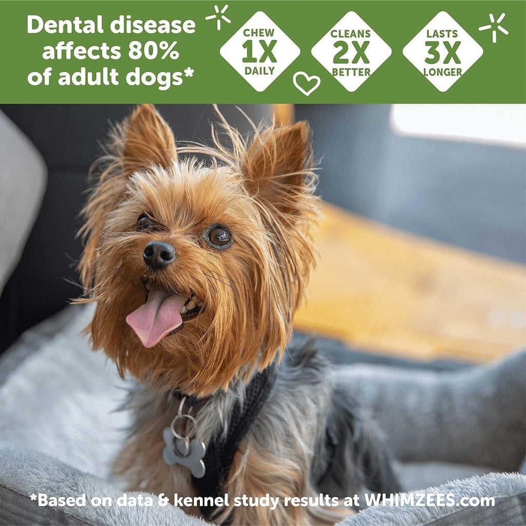 Natural Grain-Free Dental Dog Treats Variety Pack H5297