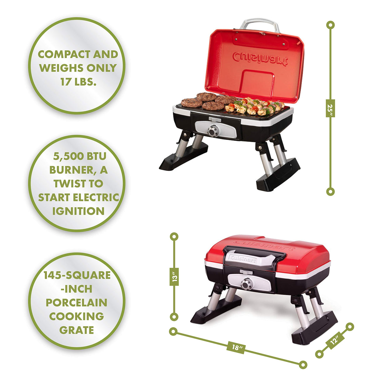 Portable Propane Gas Grill G16812