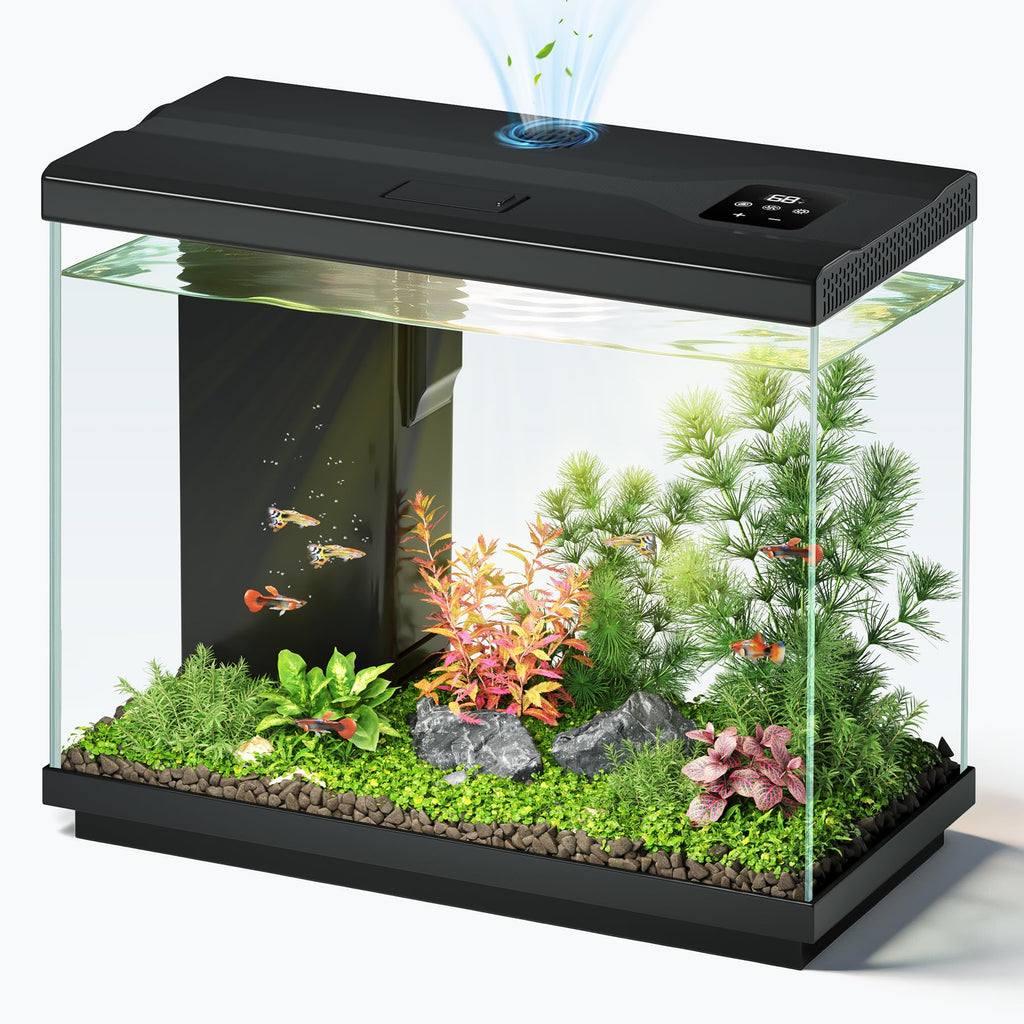 2.2 Gallon Small Black Fish Tank O180