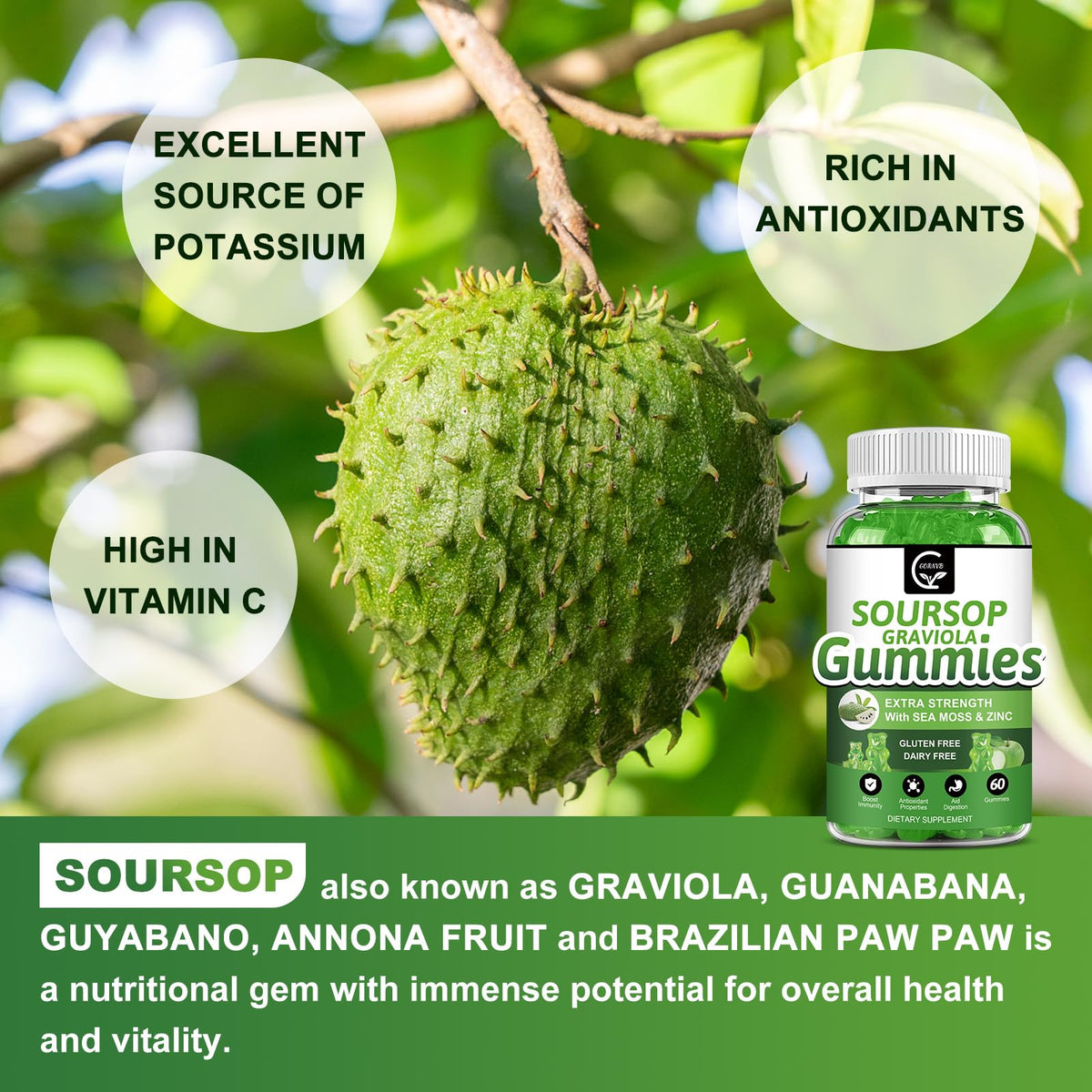 Organic Soursop Graviola Gummies 2200mg with Sea Moss Zinc Vitamin C 60 Gummies G533