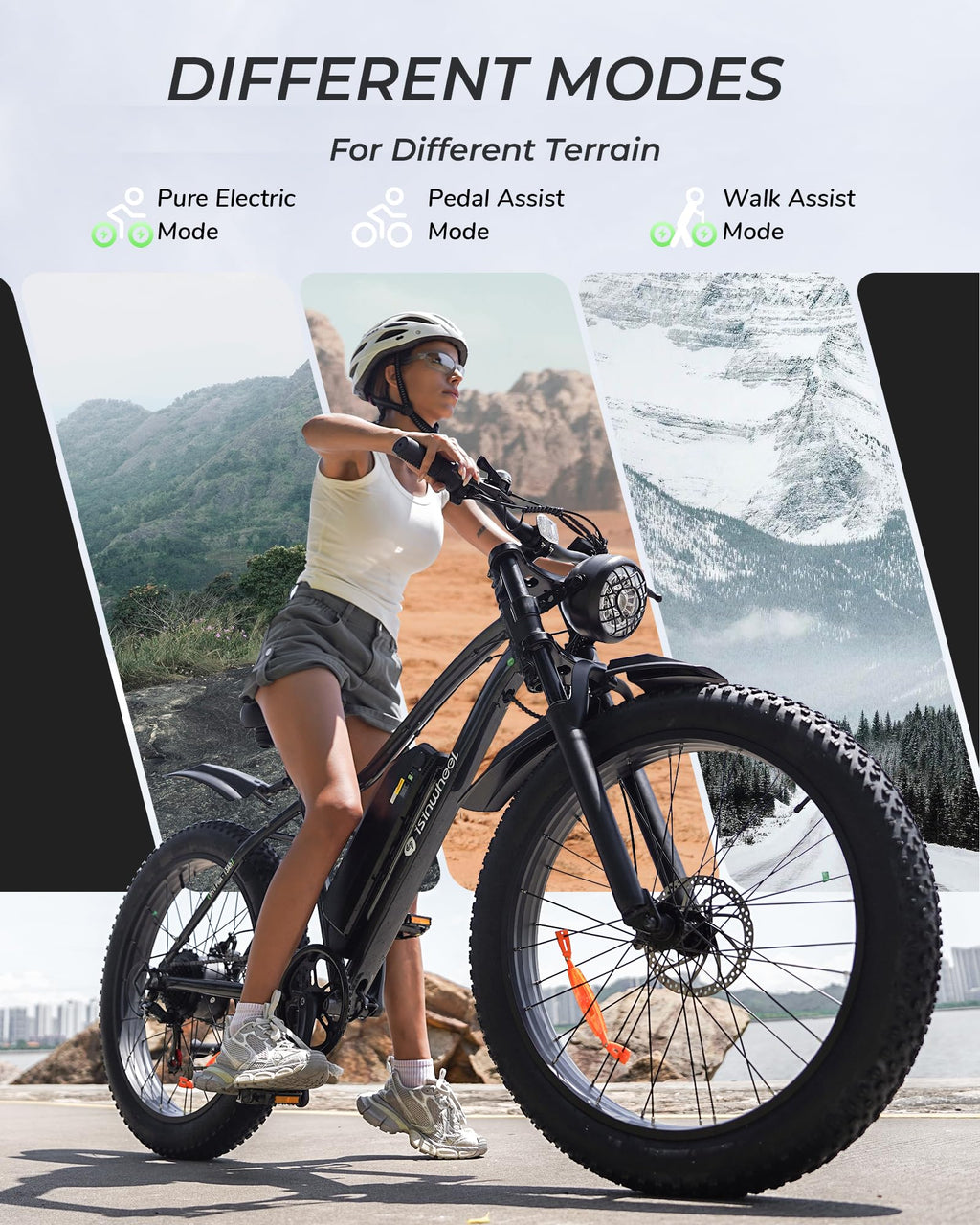 1000W Peak Motor 70 Miles Fat Tire Electric Bike F676