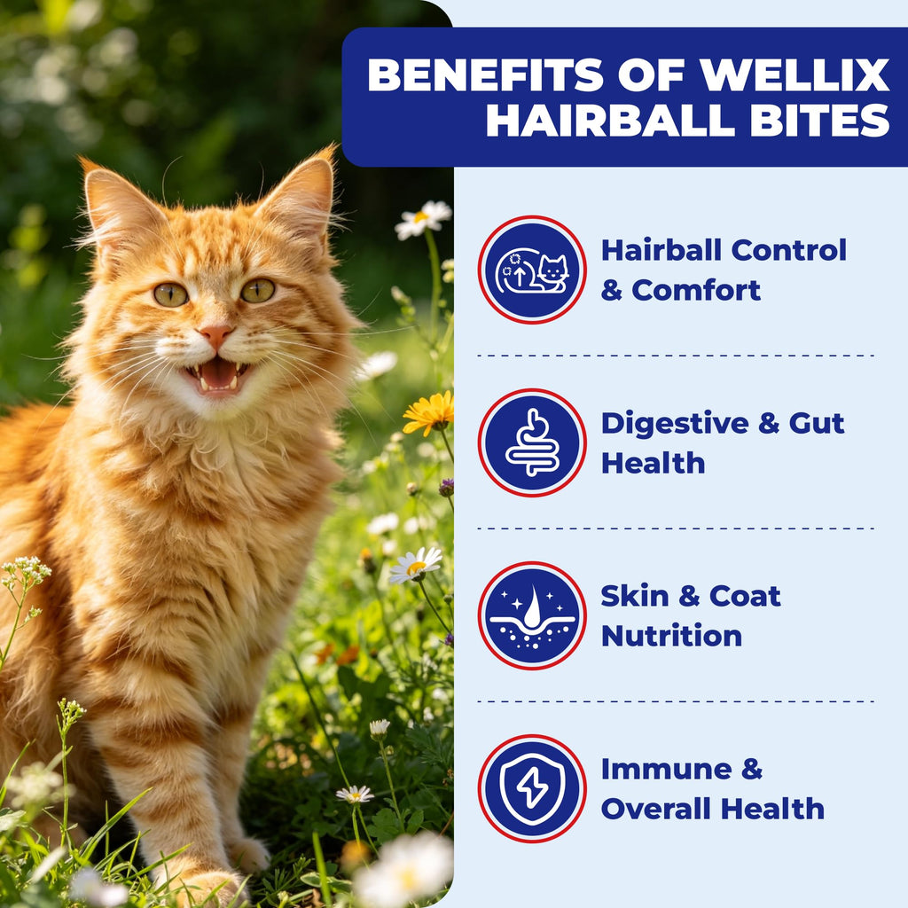 10.58 oz Hairball Bites for Cats N43495