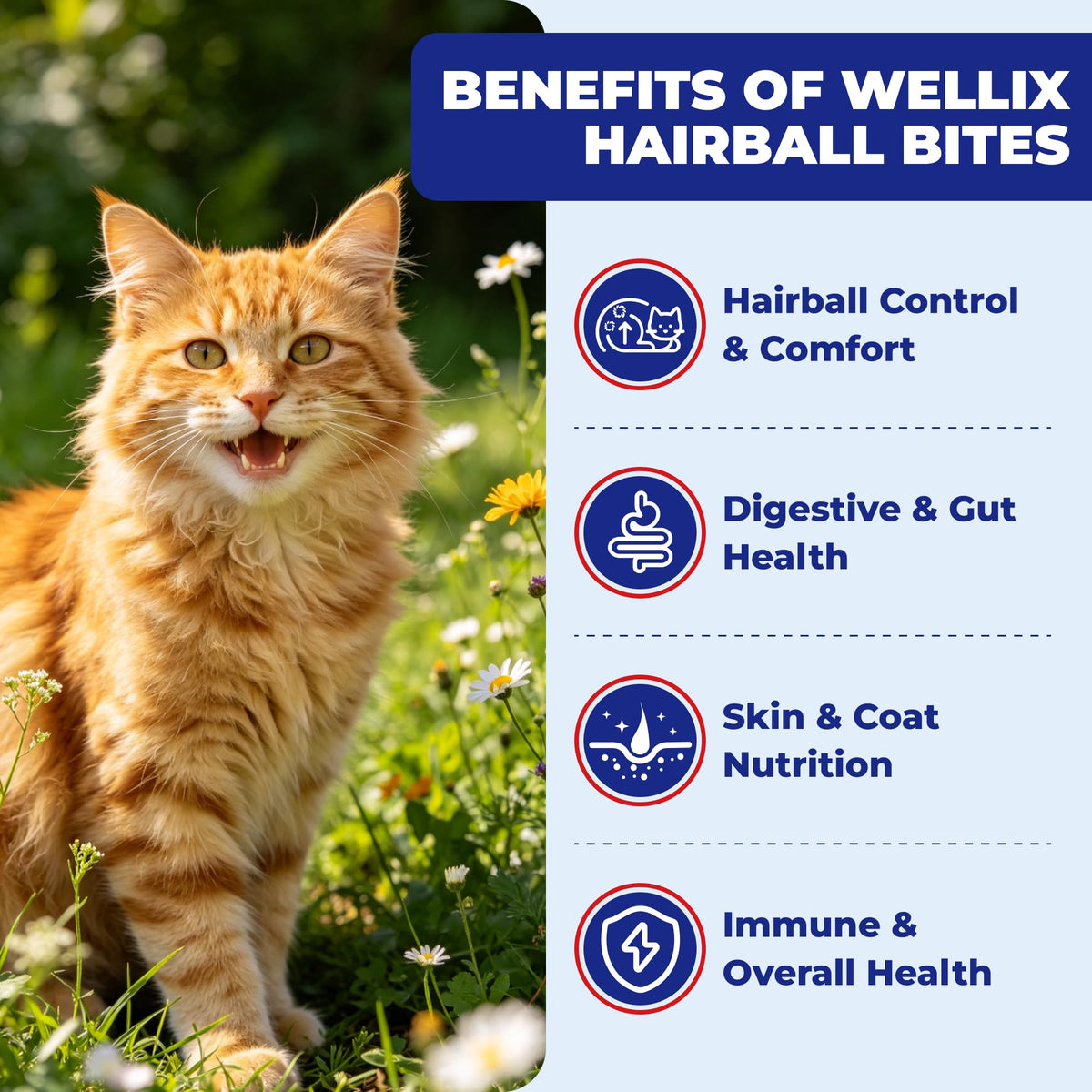 10.58 oz Hairball Bites for Cats N43495