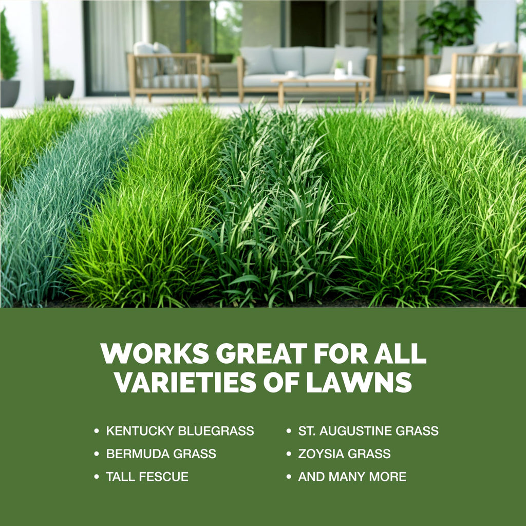 Liquid Lawn Fertilizer 1 Gallon I633089
