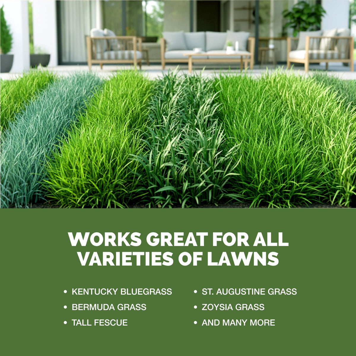 Liquid Lawn Fertilizer 1 Gallon I633089