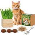 Cat Grass Growing Kit with Wooden Planter V823