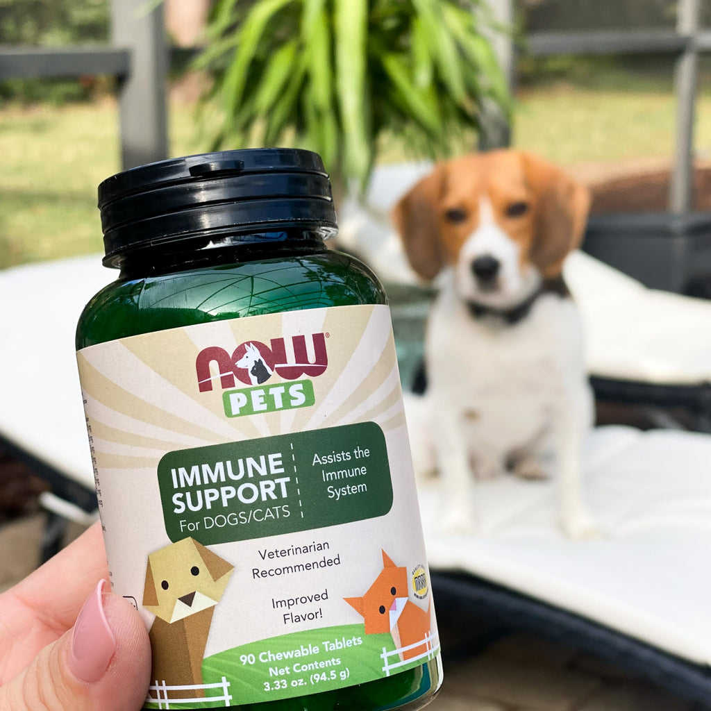 Immune Support Supplement for Cats & Dogs 90 Chewable Tablets I1002