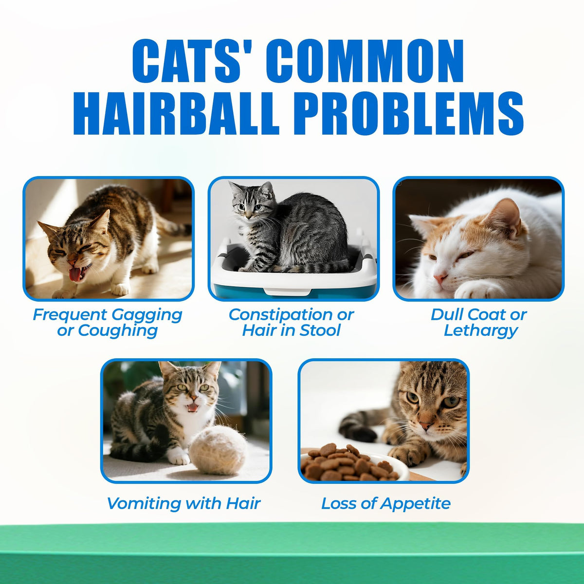 Hairball Control Cat Treats I81303
