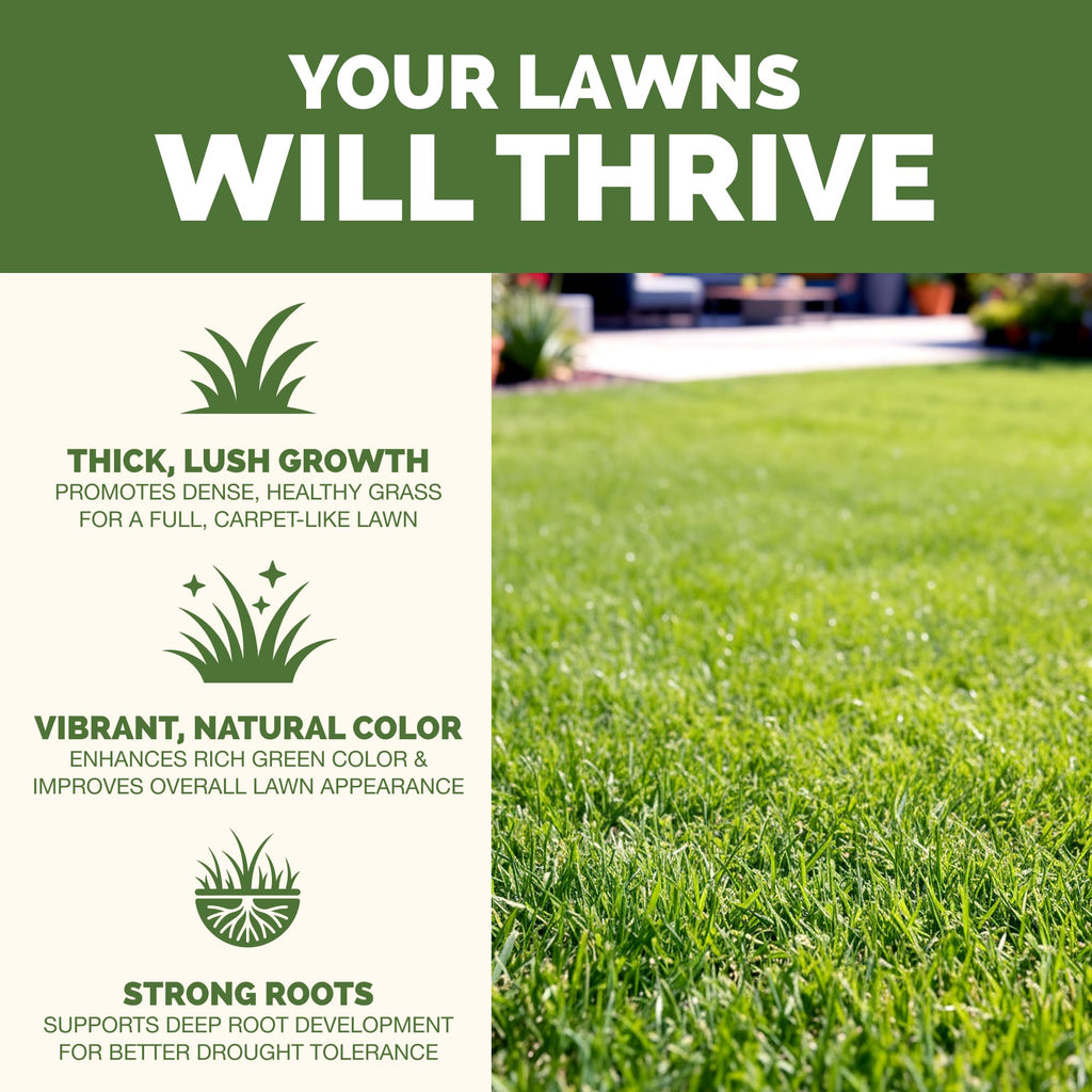 Liquid Lawn Fertilizer 1 Gallon I633089