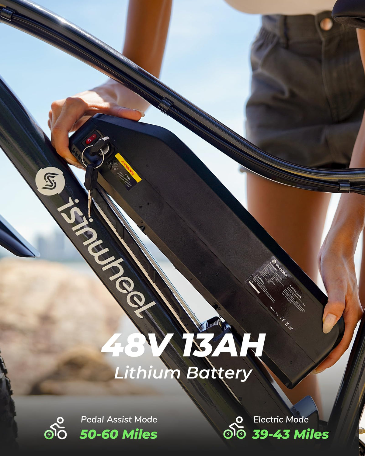 1000W Peak Motor 70 Miles Fat Tire Electric Bike F676